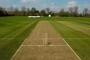 Great Value Sharanam